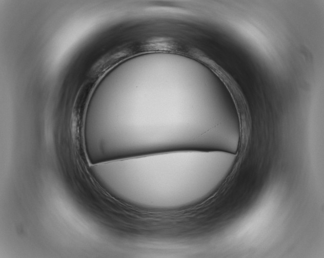 X0000110961438200906191040