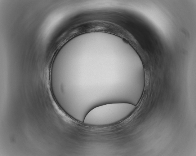 X0000110961439200906191040