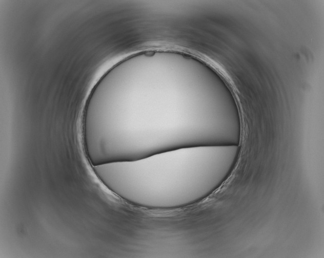 X0000110961440200906191040