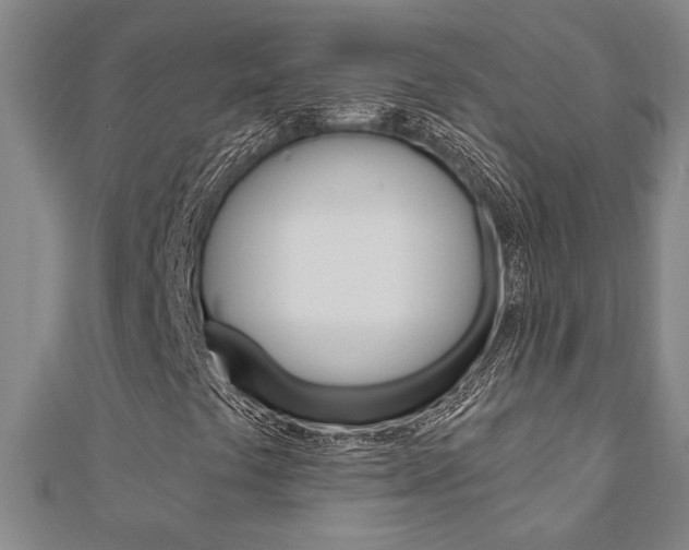 X0000110961441200906191040