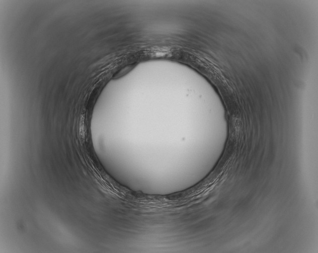 X0000110961442200906191040