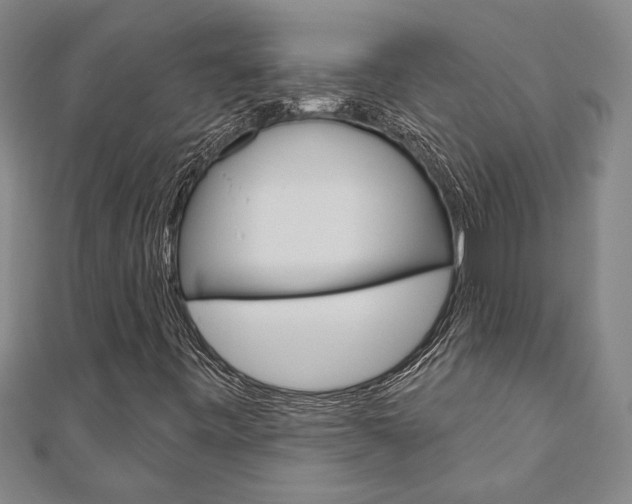 X0000110961443200906191040