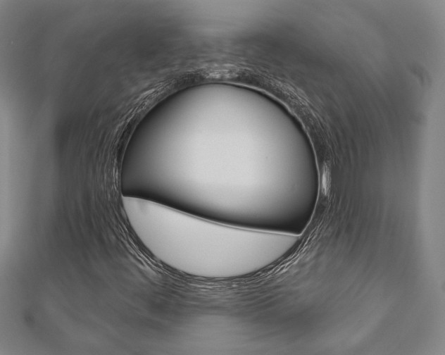 X0000110961444200906191040