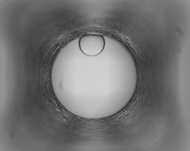 X0000110961445200906191040