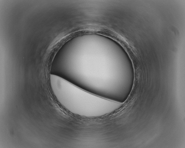 X0000110961448200906191040