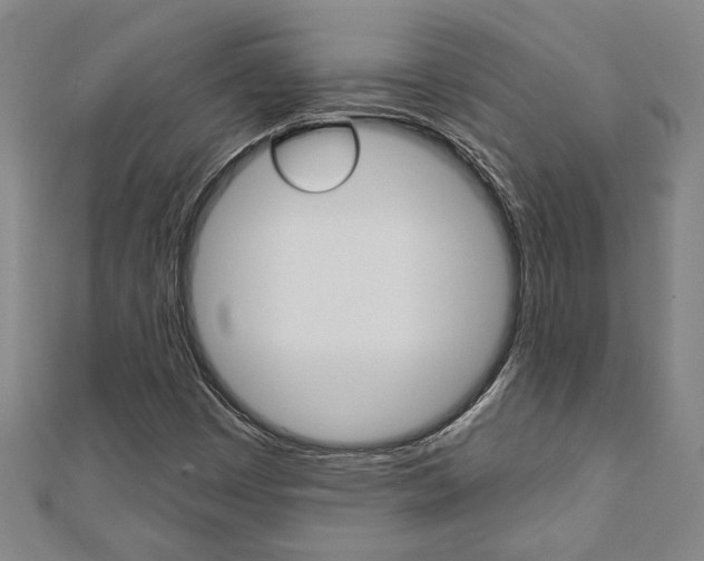 X0000110961449200906191040