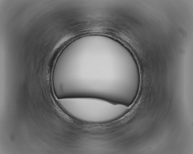 X0000110961450200906191040
