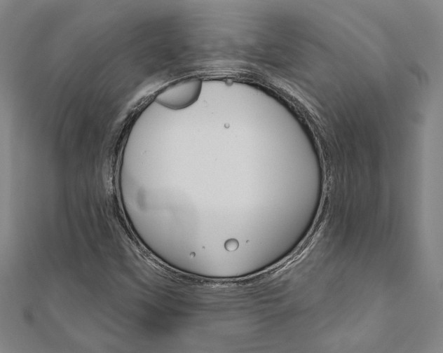 X0000110961451200906191040