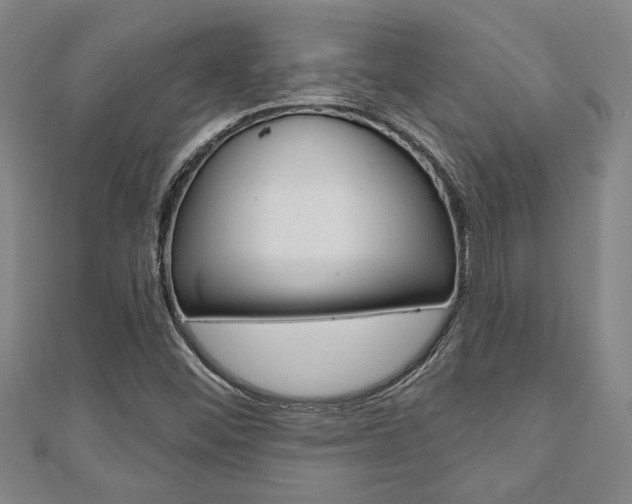 X0000110961452200906191040