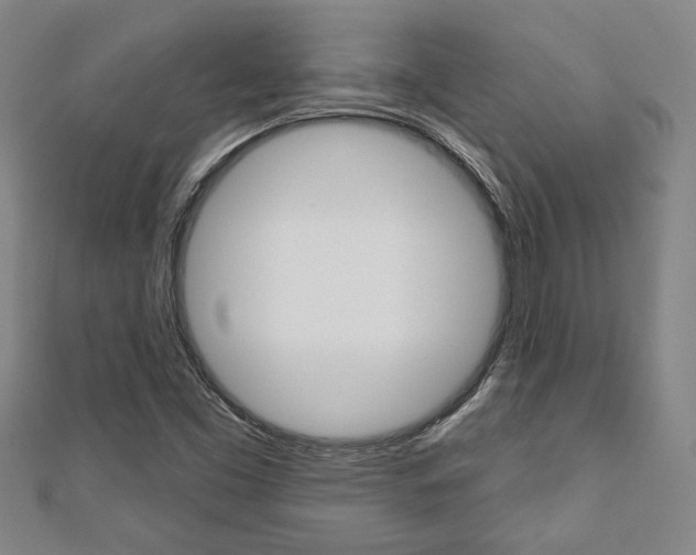 X0000110961453200906191039