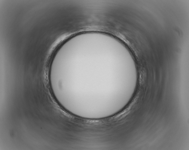 X0000110961454200906191039