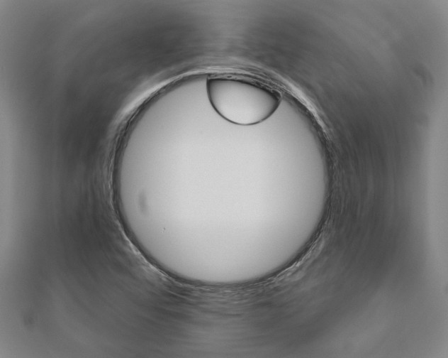 X0000110961456200906191039