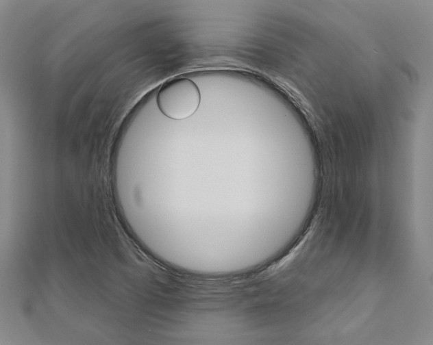 X0000110961457200906191039