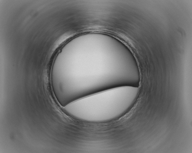 X0000110961458200906191039
