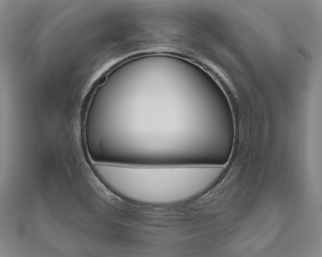 X0000110961460200906191039