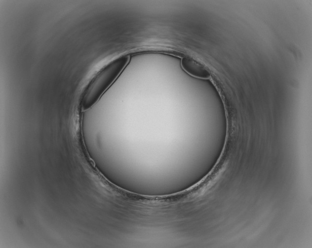 X0000110961461200906191039