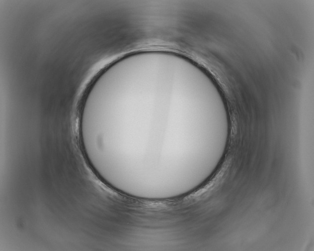 X0000110961462200906191039