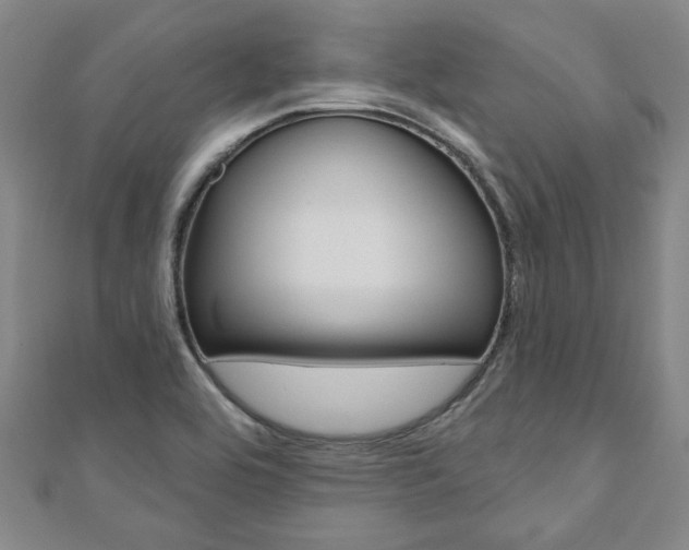 X0000110961464200906191039