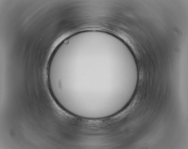 X0000110961466200906191039