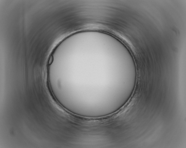 X0000110961467200906191039