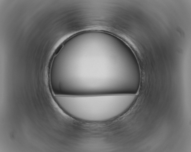 X0000110961468200906191039