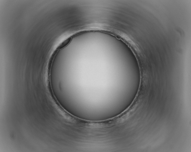 X0000110961469200906191039