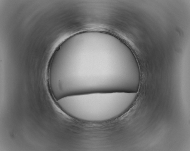 X0000110961471200906191039
