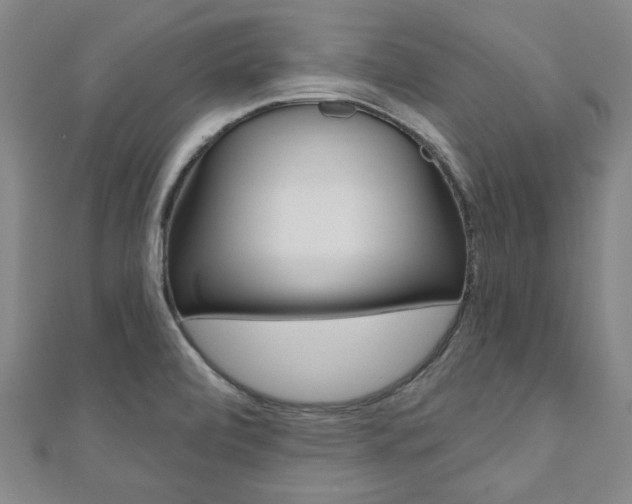 X0000110961472200906191039