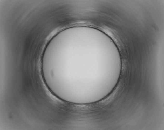 X0000110961474200906191039