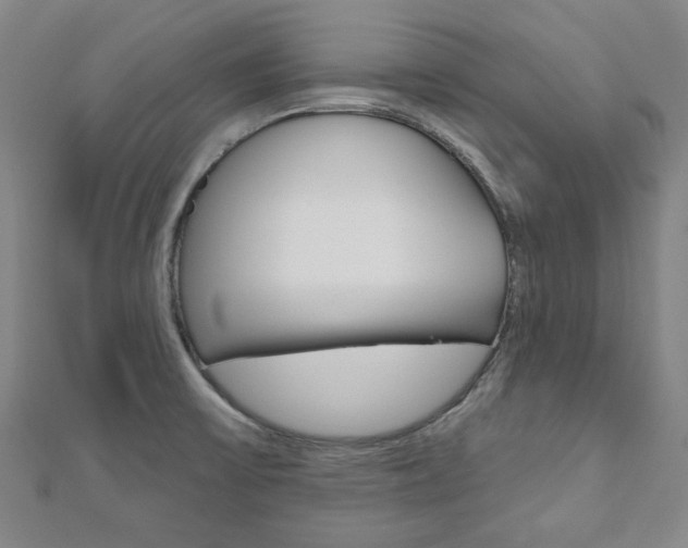X0000110961475200906191039