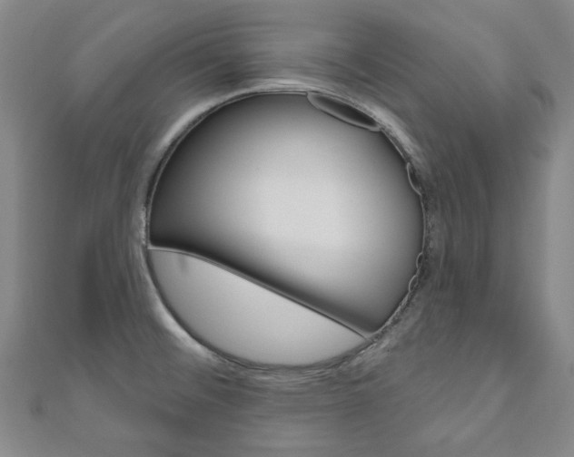 X0000110961476200906191039