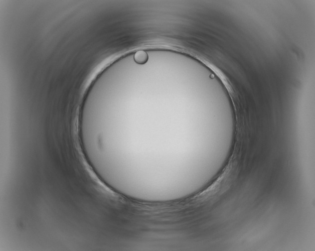 X0000110961477200906191039