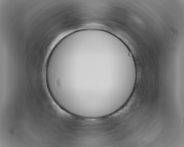 X0000110961478200906191039