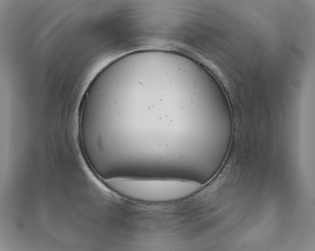 X0000110961479200906191039