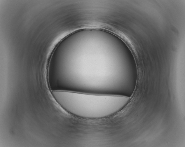 X0000110961480200906191039