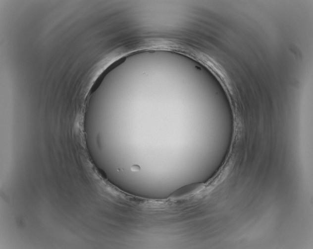 X0000110961481200906191039