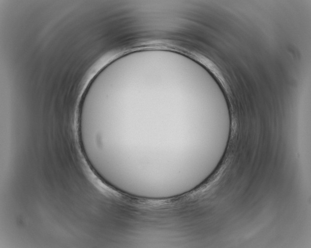 X0000110961482200906191039