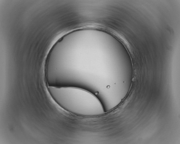 X0000110961483200906191039