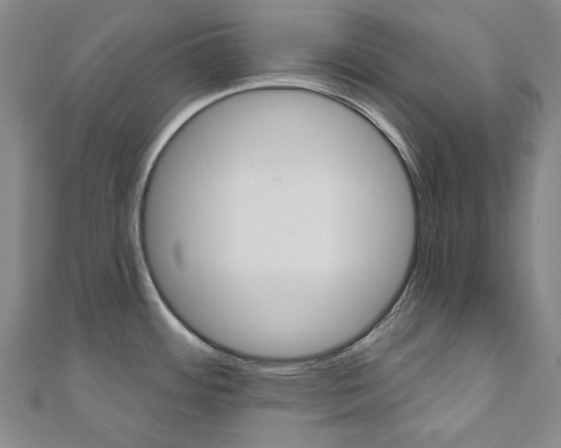 X0000110961484200906191039