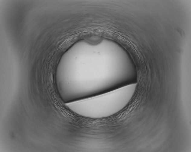 X0000110961489200906191038