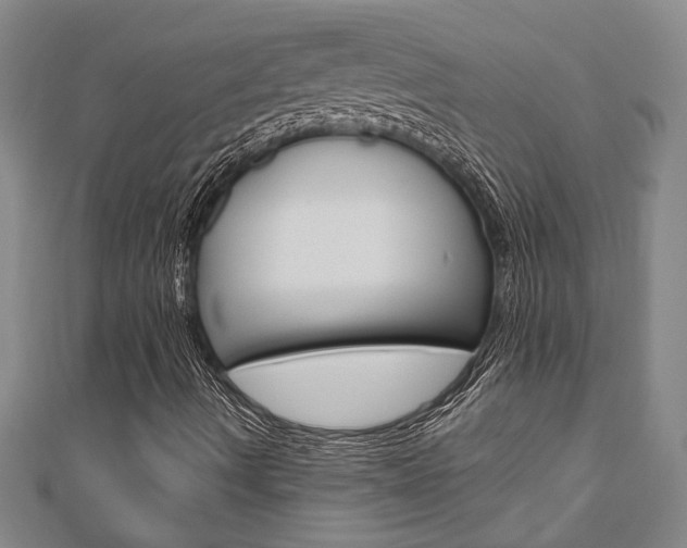 X0000110961490200906191038