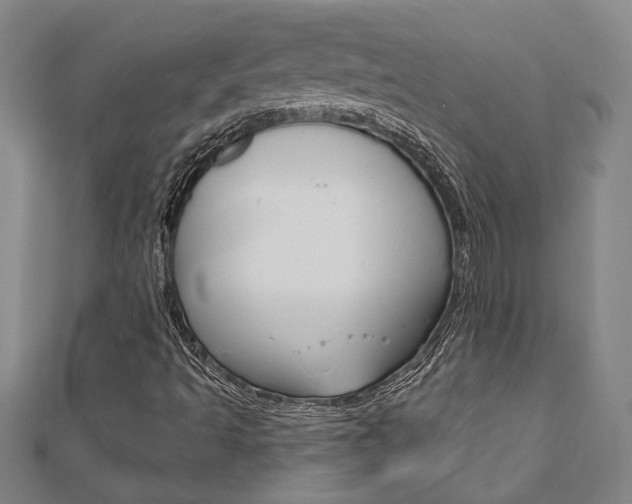 X0000110961493200906191038