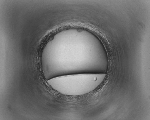 X0000110961494200906191038