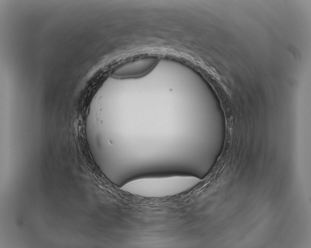 X0000110961495200906191038