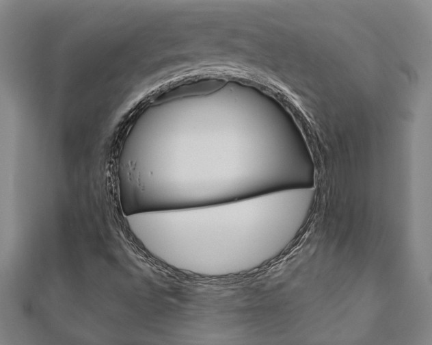 X0000110961496200906191038