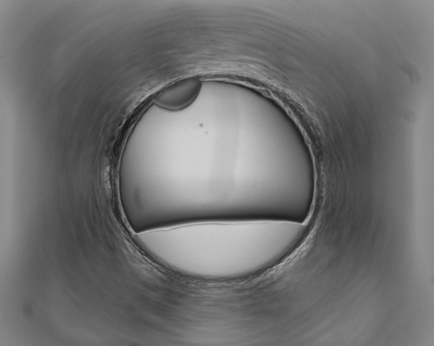 X0000110961497200906191038