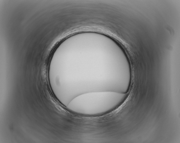 X0000110961498200906191038