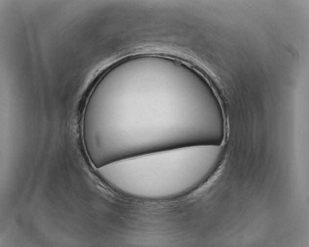 X0000110961501200906191038