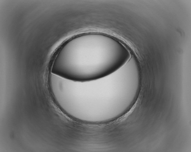X0000110961502200906191038