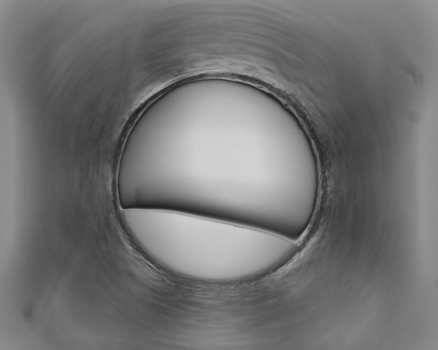 X0000110961505200906191038